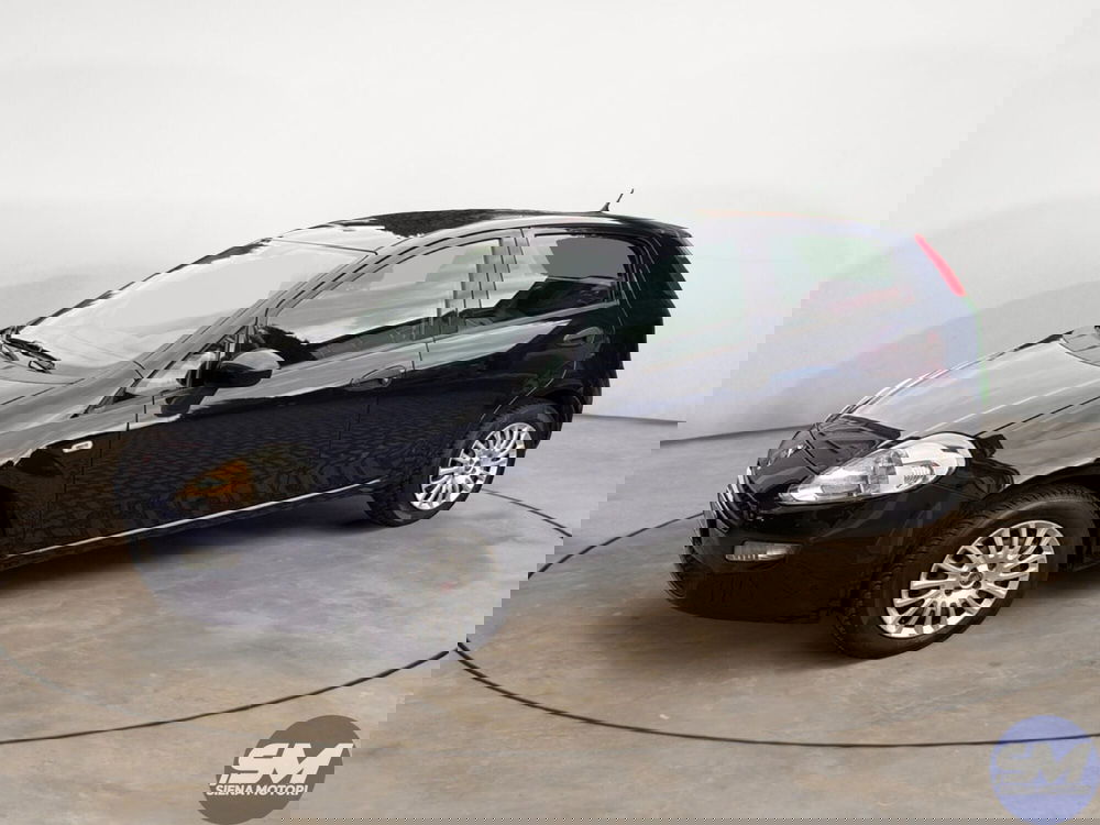 Fiat Punto usata a Firenze