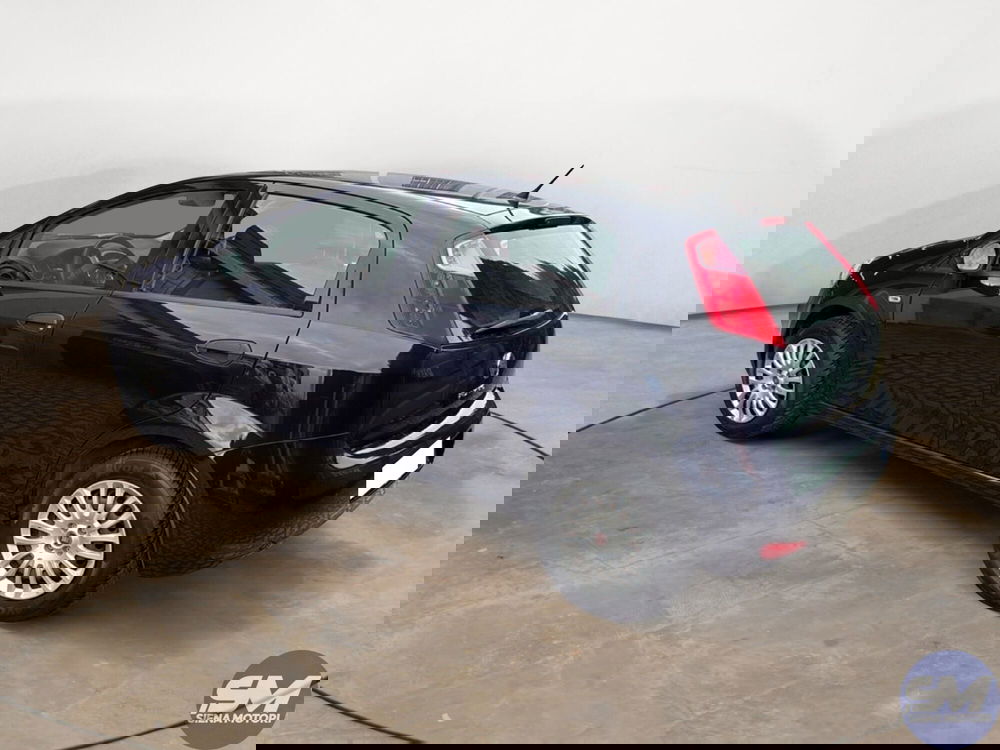 Fiat Punto usata a Firenze (6)