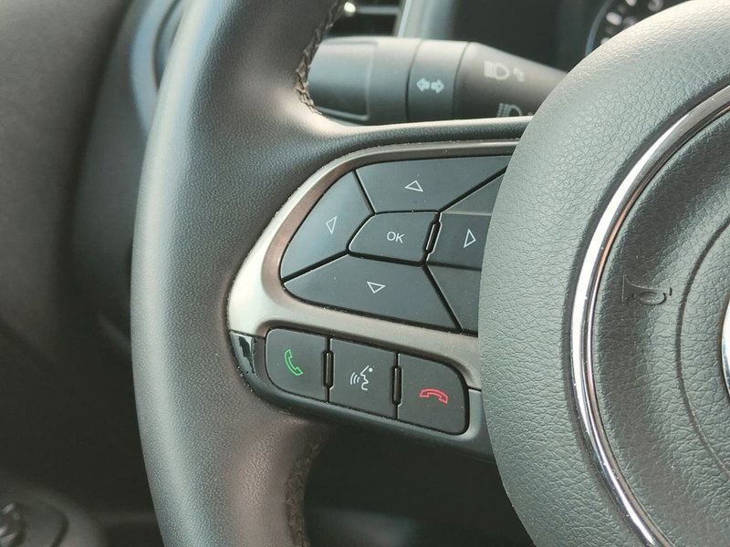 Jeep Renegade usata a Torino (20)