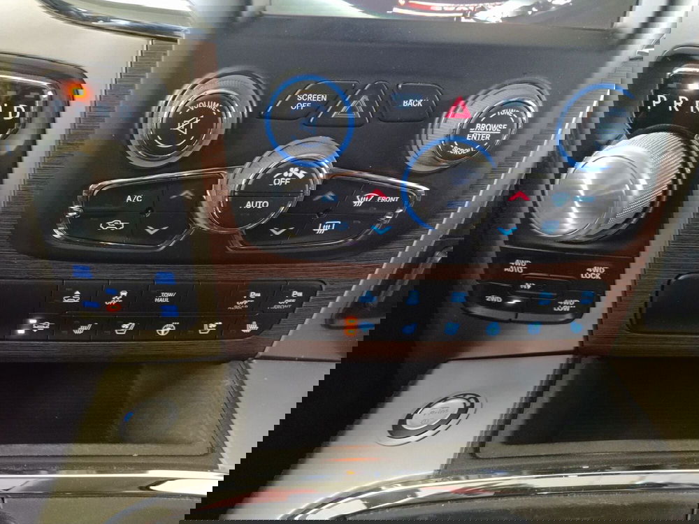 Ram Ram Pick-up usata a Monza e Brianza (14)