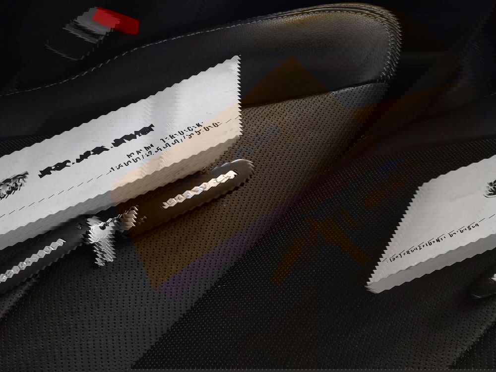 Ram Ram Pick-up usata a Monza e Brianza (20)