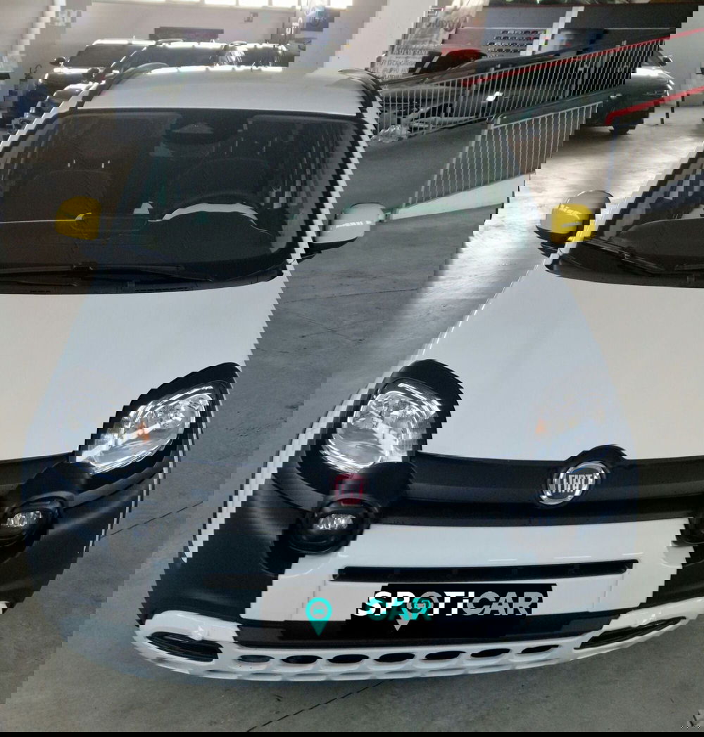 Fiat Pandina usata a Terni (2)