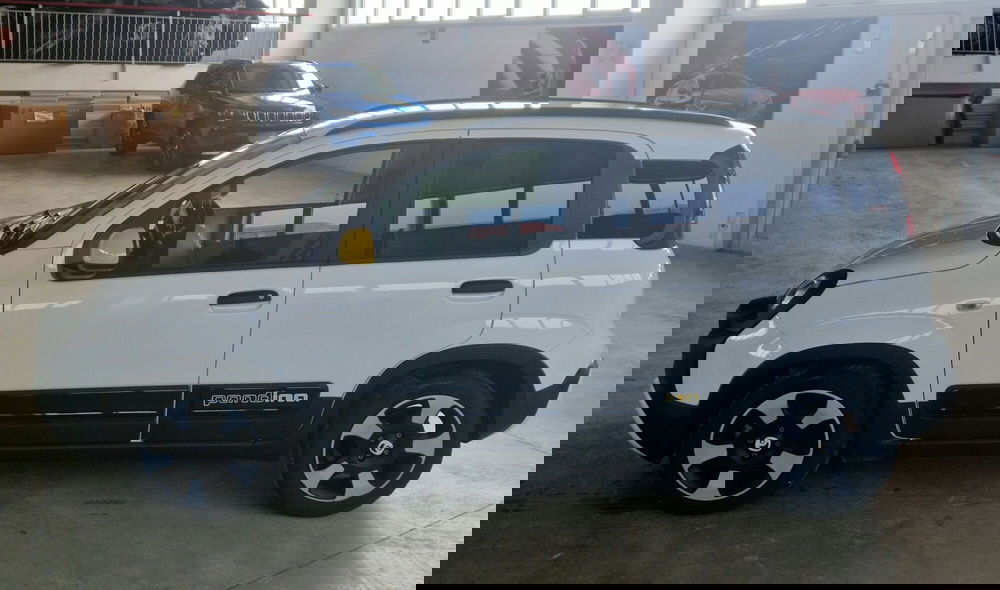 Fiat Pandina usata a Terni (3)