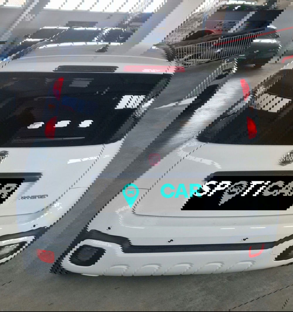 Fiat Pandina usata a Terni (5)