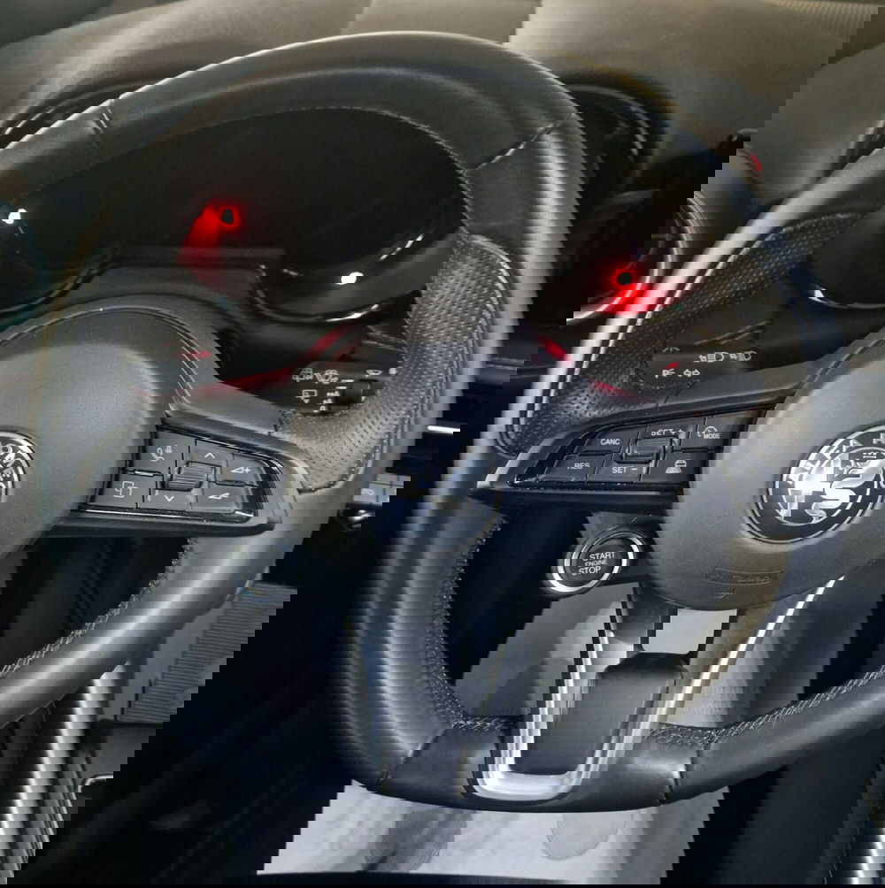 Alfa Romeo Tonale usata a Terni (12)