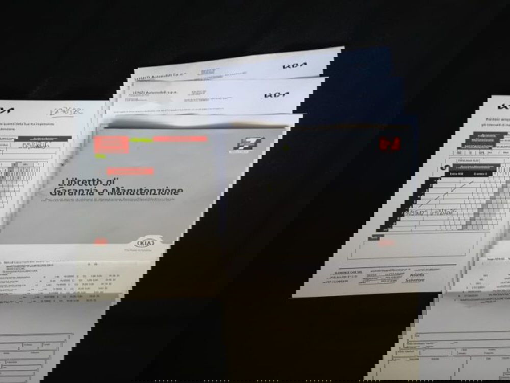 Kia Niro usata a Firenze (15)
