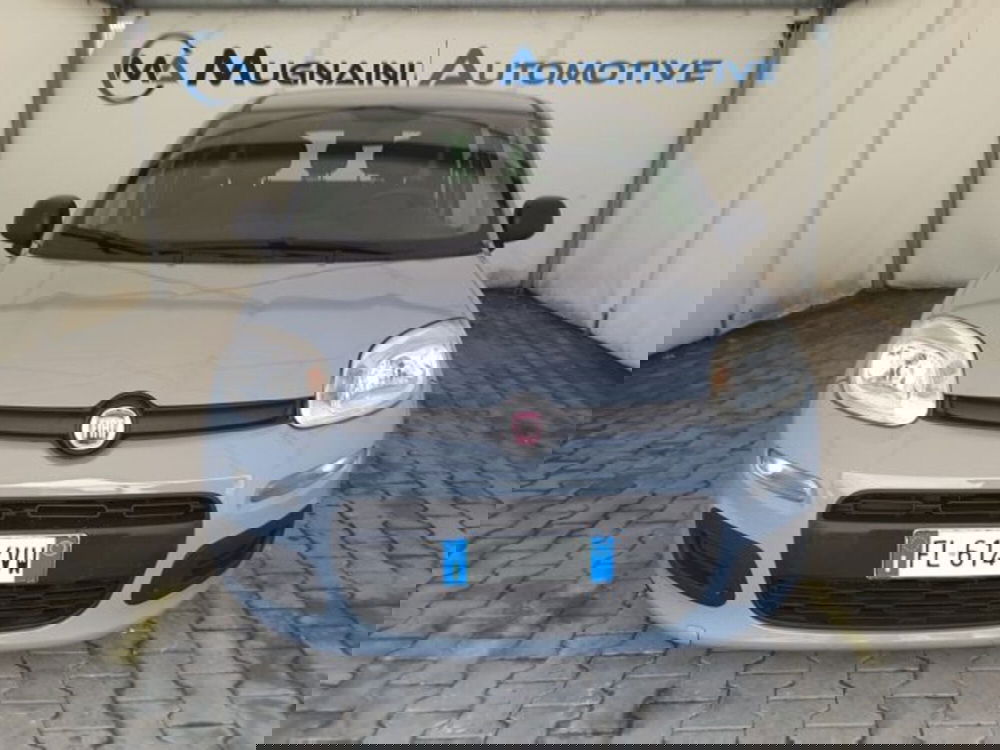 Fiat Panda usata a Firenze