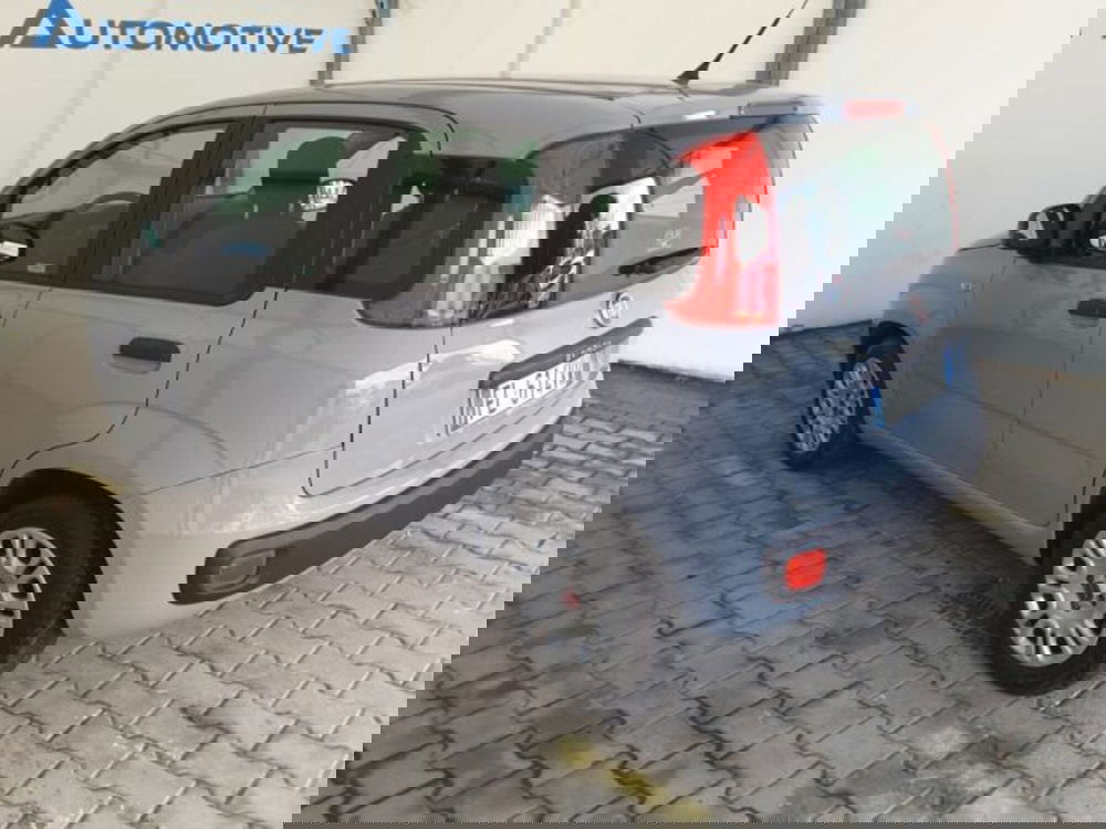 Fiat Panda usata a Firenze (10)