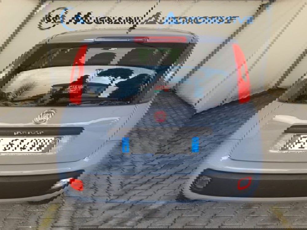 Fiat Panda usata a Firenze (11)