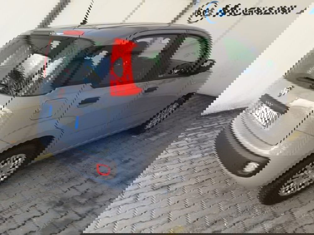 Fiat Panda usata a Firenze (12)