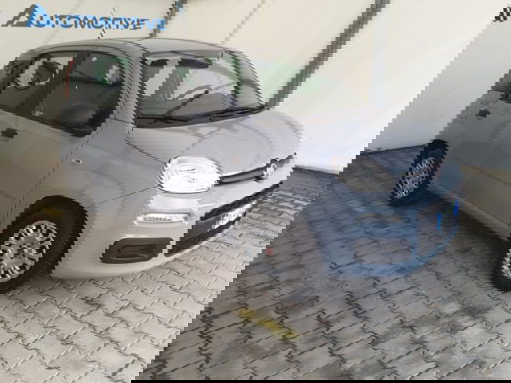 Fiat Panda usata a Firenze (2)