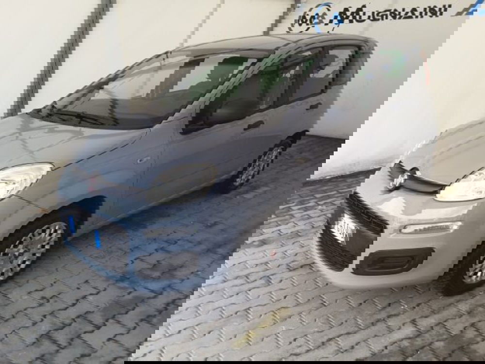 Fiat Panda usata a Firenze (3)