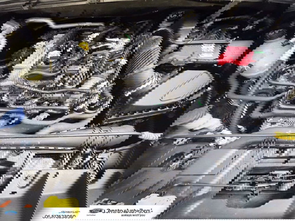 Ford Puma usata a Roma (12)