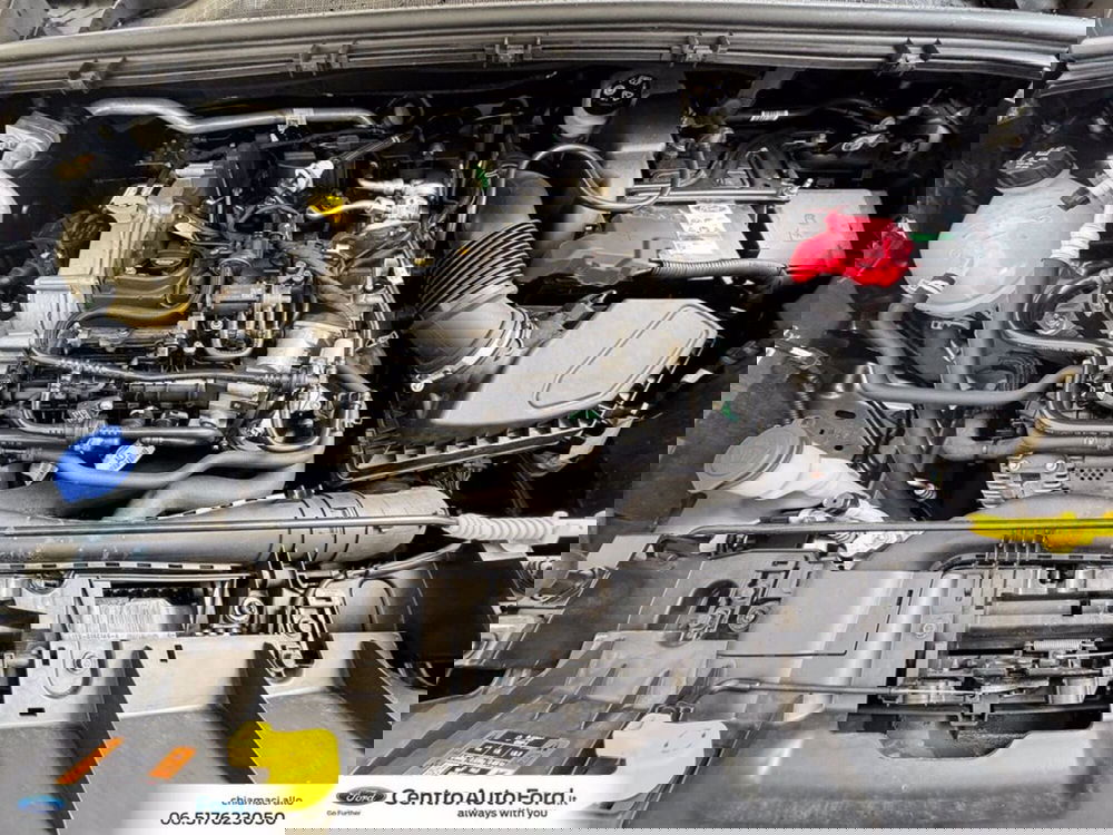 Ford Puma usata a Roma (12)