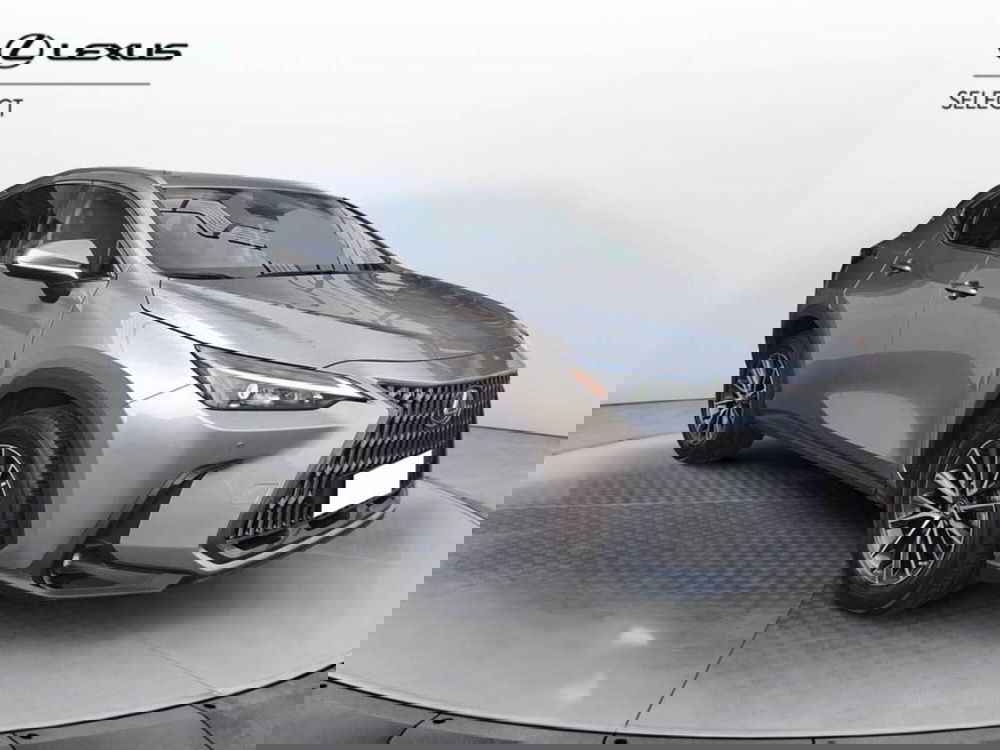 Lexus NX usata a Torino (3)