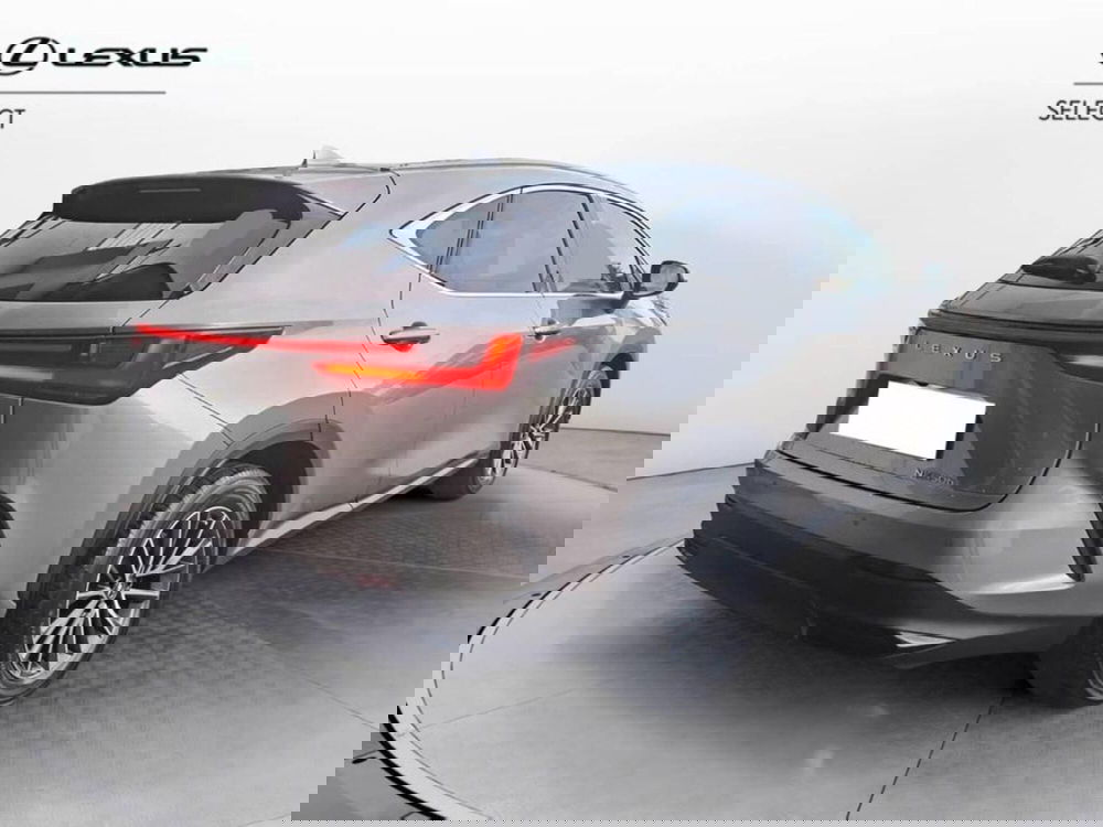 Lexus NX usata a Torino (4)