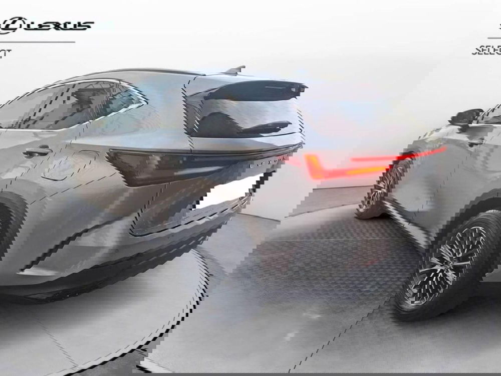 Lexus NX usata a Torino (6)