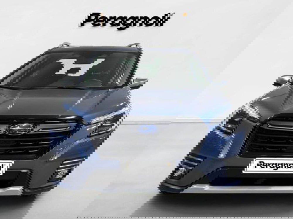 Subaru Forester usata a Firenze (2)