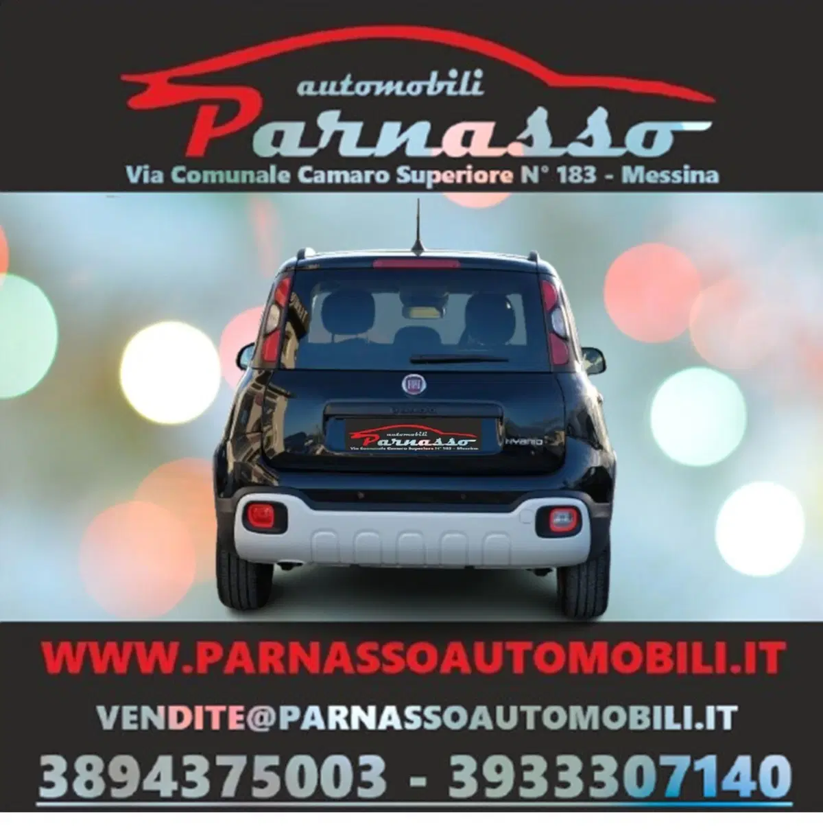 Fiat Panda usata a Messina (13)