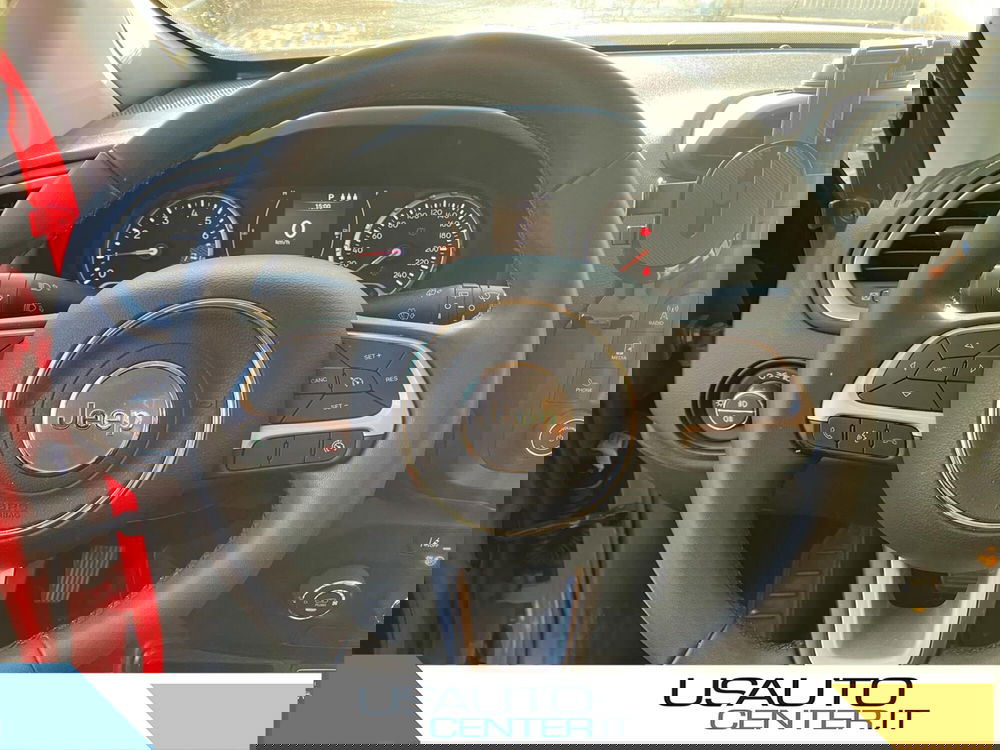 Jeep Renegade usata a Monza e Brianza (9)