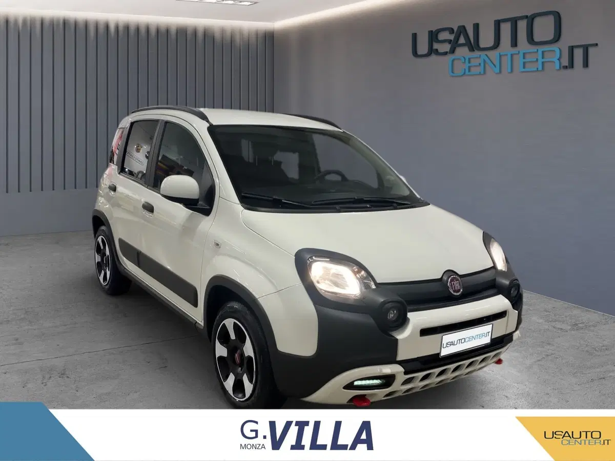 Fiat Panda Cross usata a Monza e Brianza (2)