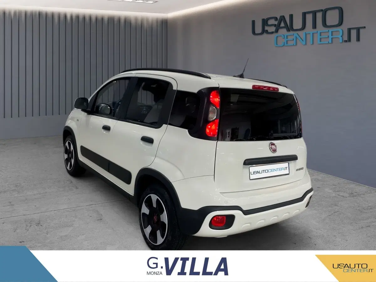 Fiat Panda Cross usata a Monza e Brianza (5)