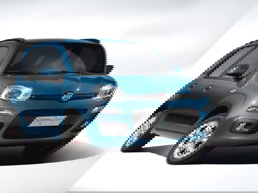 Fiat Panda usata a Caserta