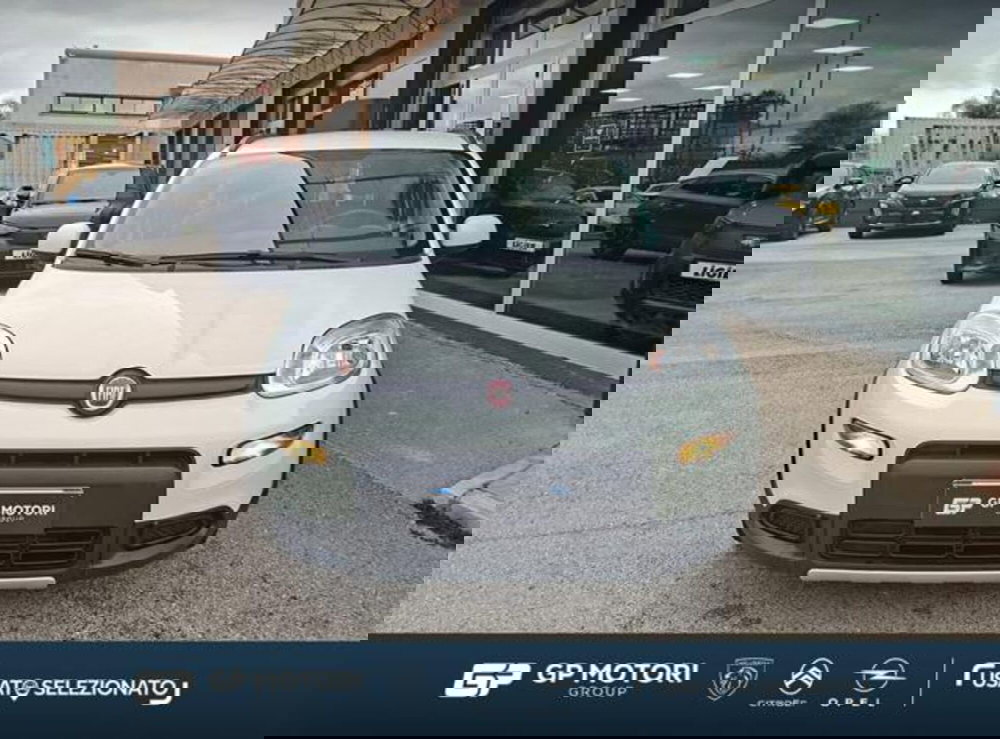 Fiat Panda usata a Caserta