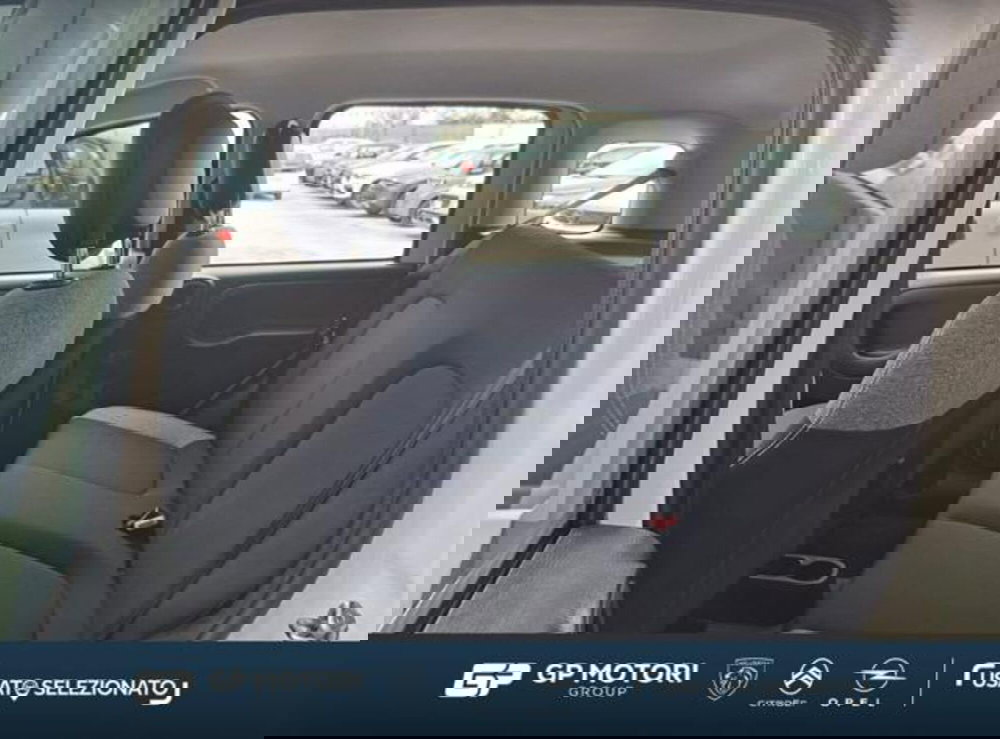 Fiat Panda usata a Caserta (10)