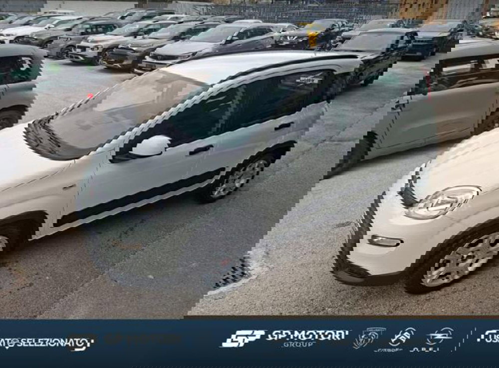 Fiat Panda usata a Caserta (3)