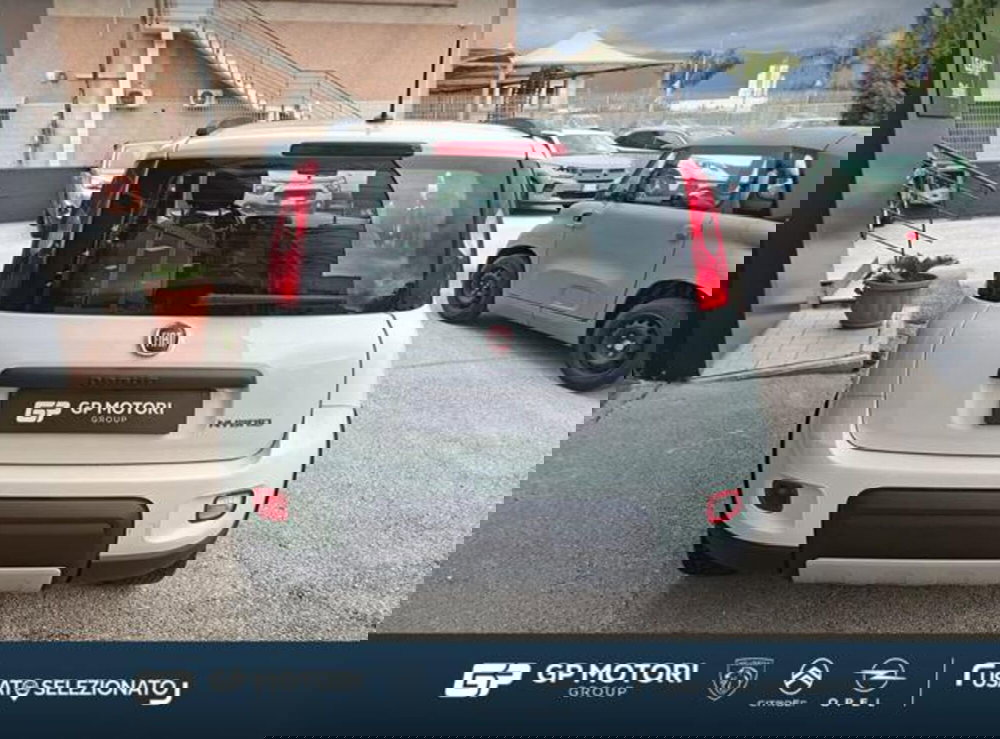 Fiat Panda usata a Caserta (4)