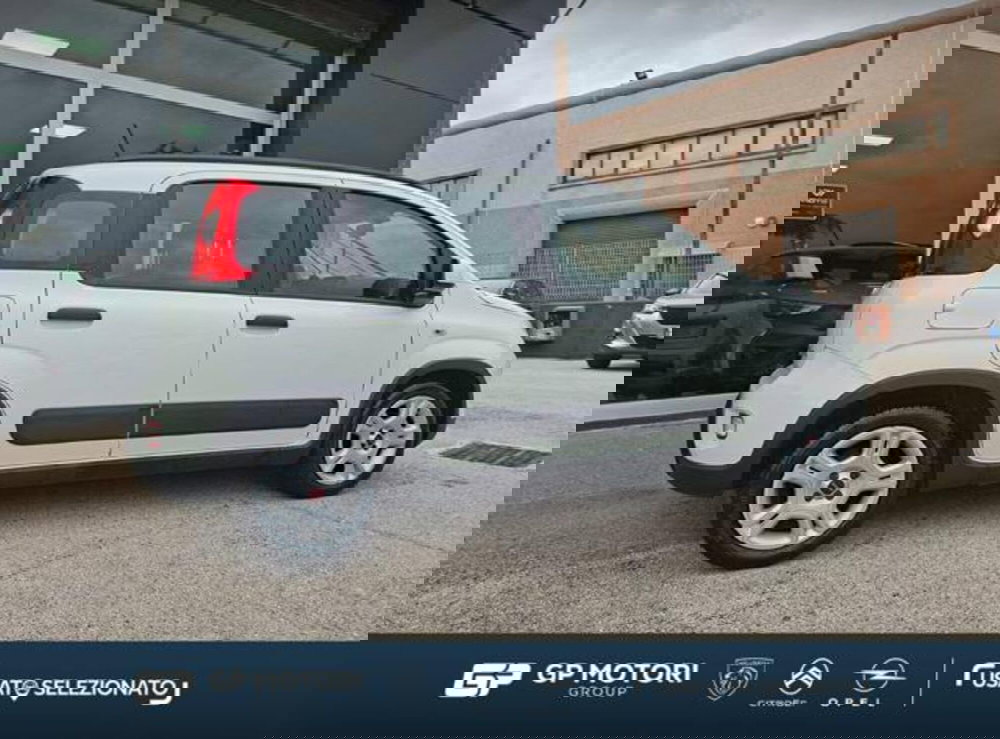 Fiat Panda usata a Caserta (5)