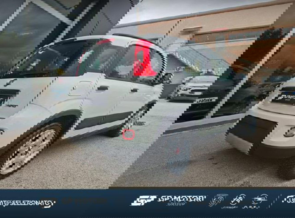 Fiat Panda usata a Caserta (6)