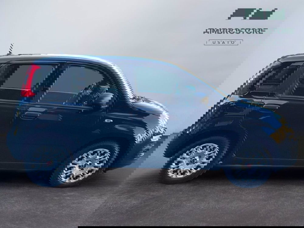 Fiat Panda Cross usata a Milano (4)