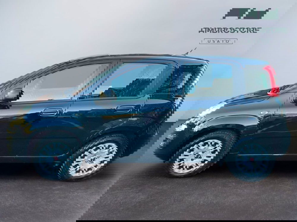 Fiat Panda Cross usata a Milano (8)