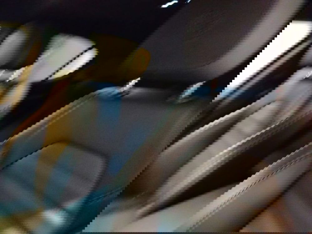 Alfa Romeo Stelvio usata a Forlì-Cesena (16)