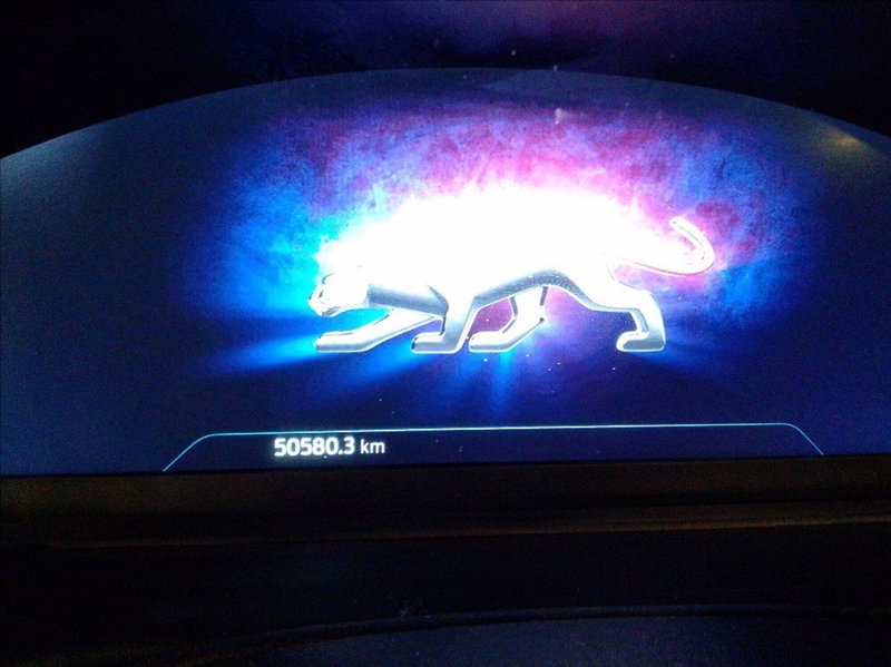 Ford Puma usata a Milano (9)