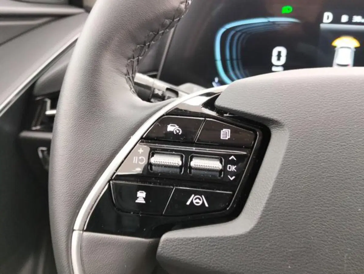 Kia Niro usata a Como (13)