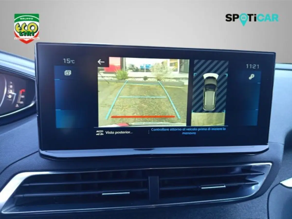 Peugeot 3008 usata a Frosinone (15)