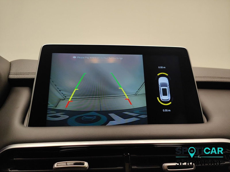 Mg HS usata a Como (10)