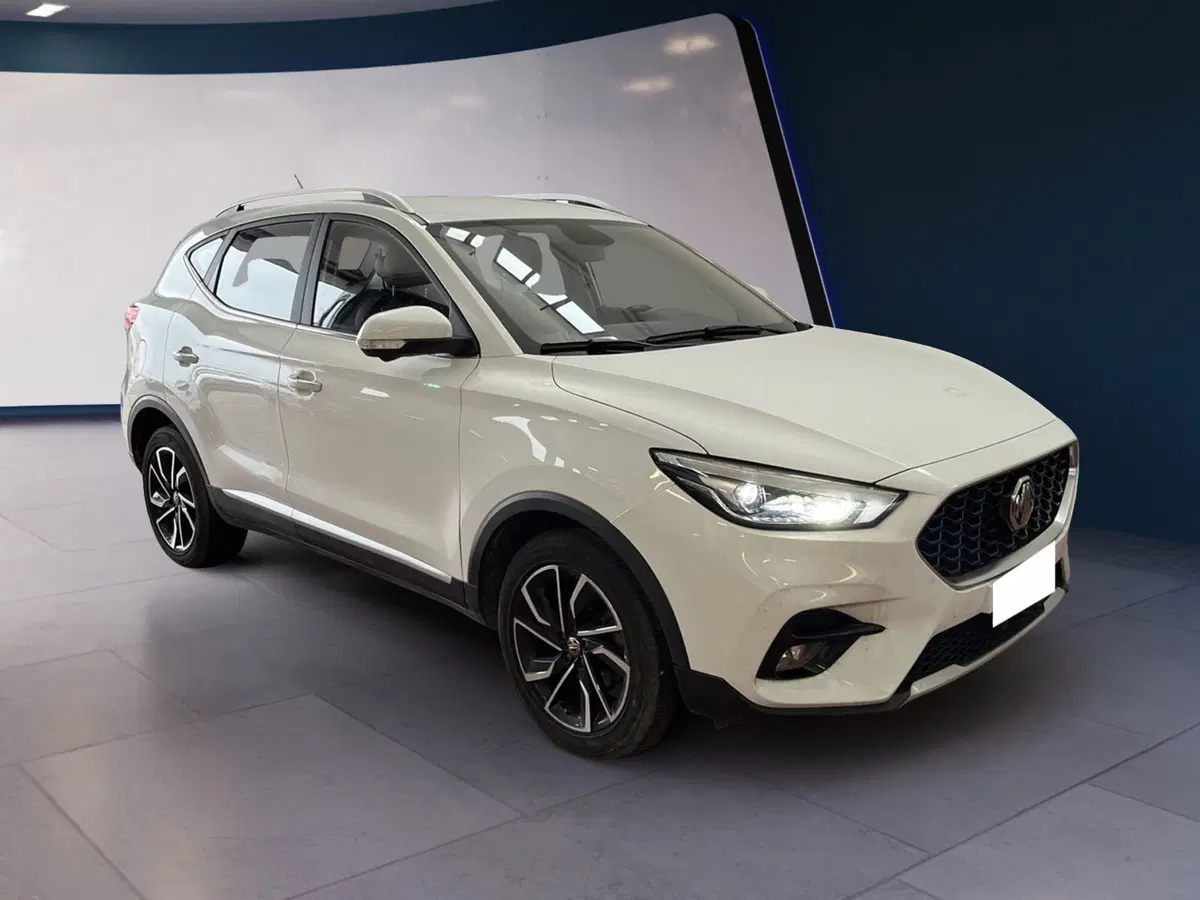 Mg ZS usata a Torino (2)