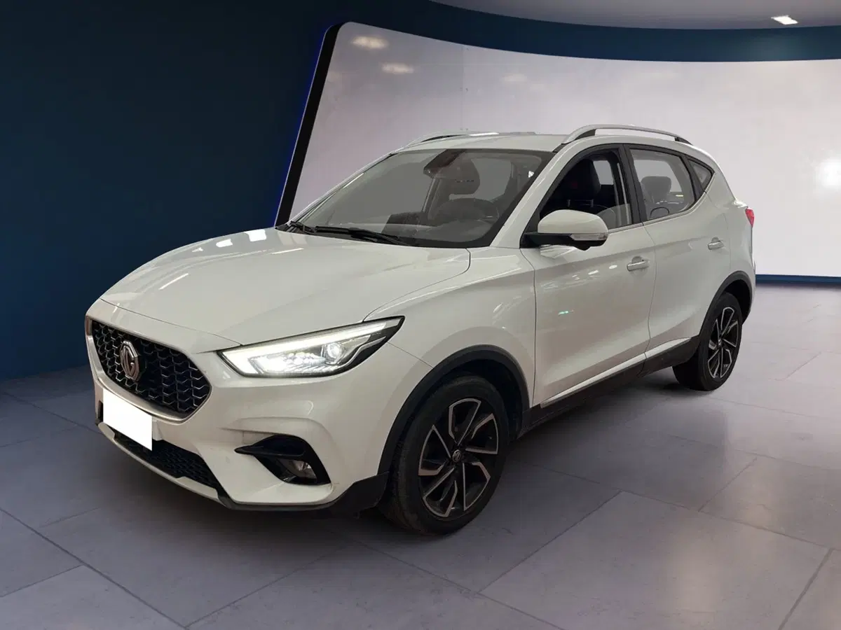 Mg ZS usata a Torino (3)