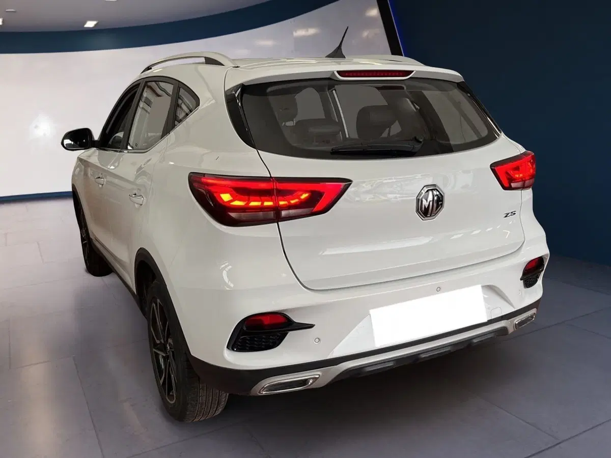 Mg ZS usata a Torino (4)