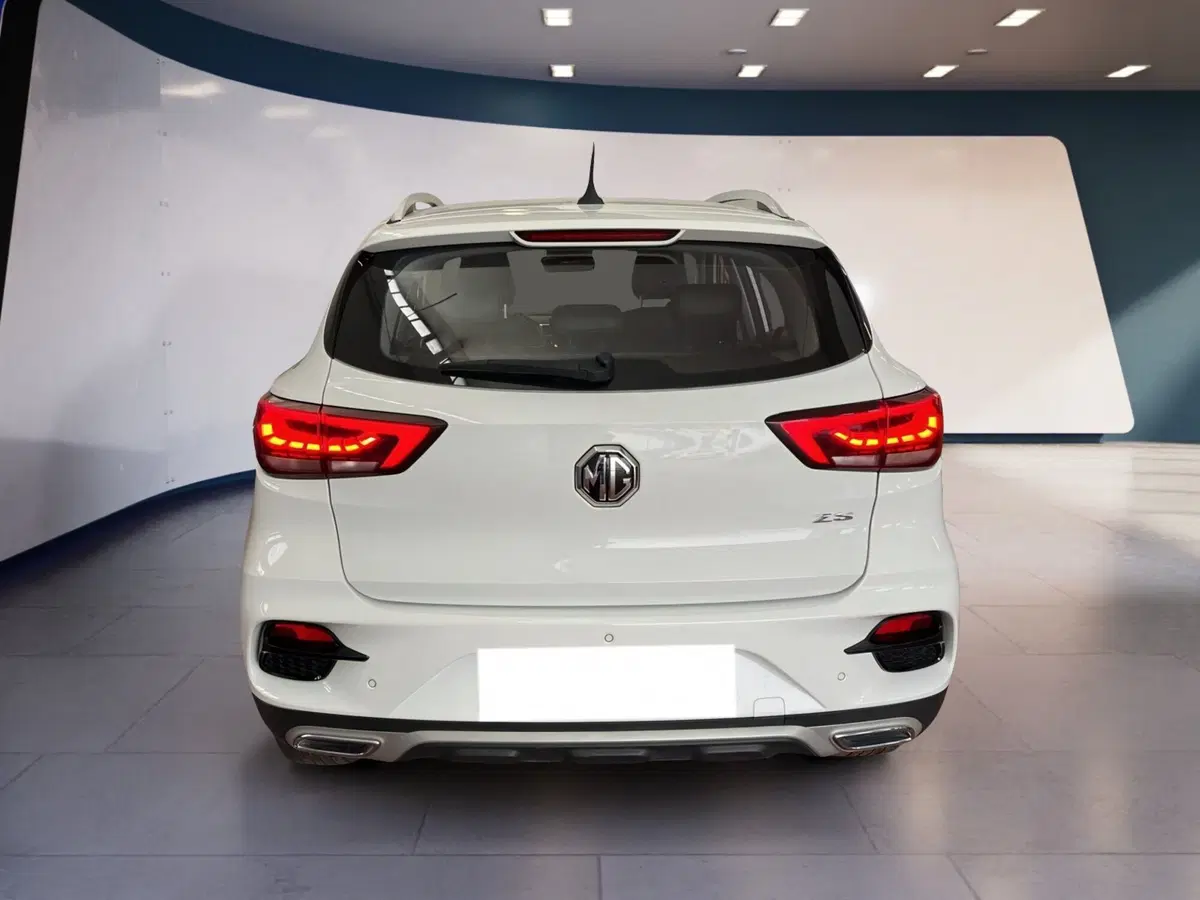 Mg ZS usata a Torino (5)