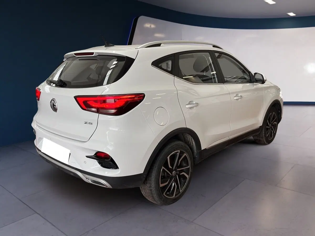 Mg ZS usata a Torino (6)