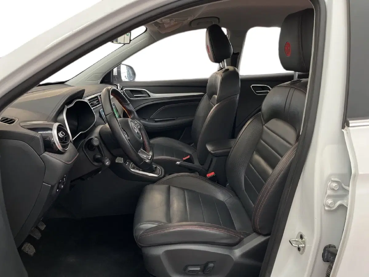 Mg ZS usata a Torino (9)