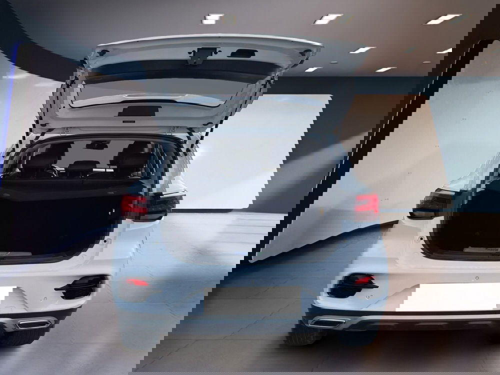 Mg ZS usata a Torino (7)