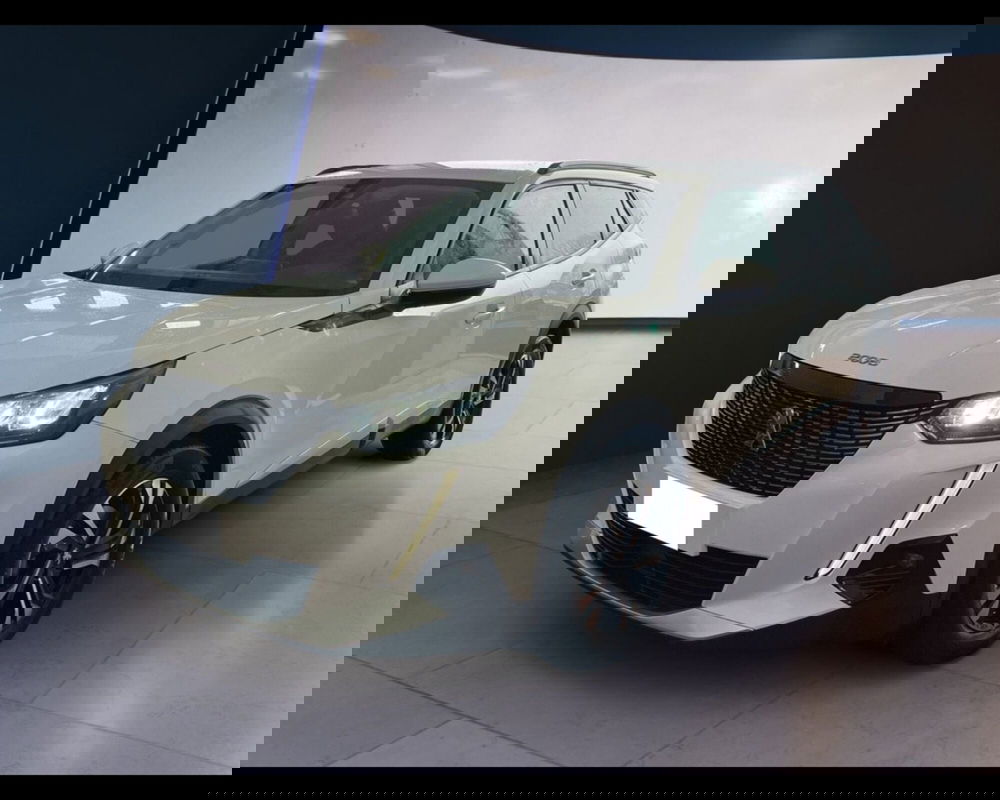 Peugeot 2008 usata a Torino (8)