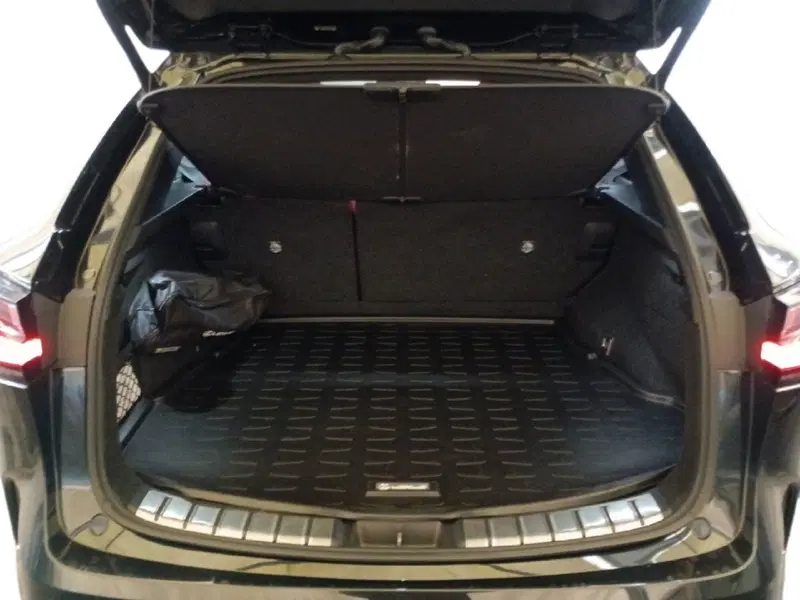 Lexus NX usata a Milano (11)