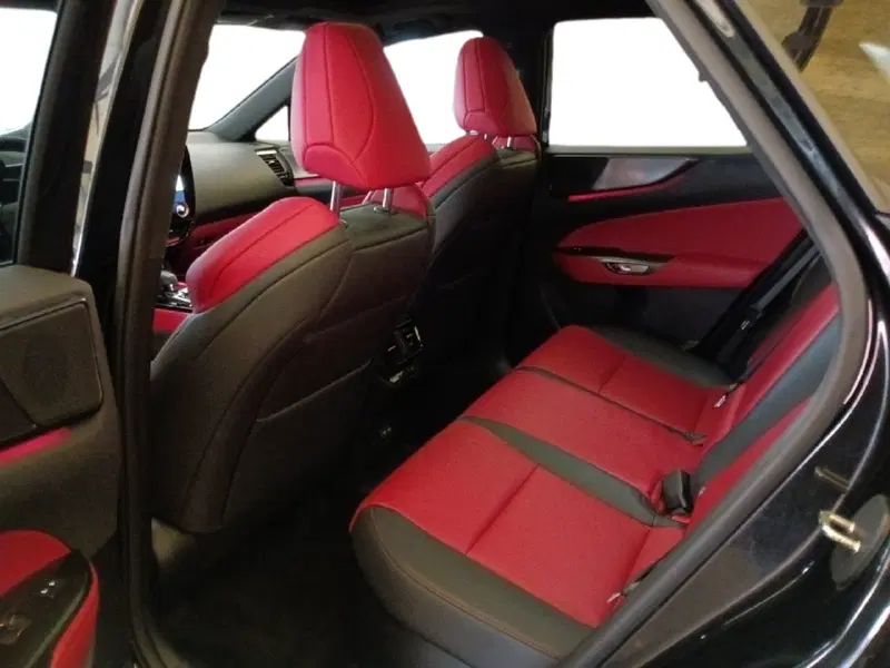 Lexus NX usata a Milano (15)